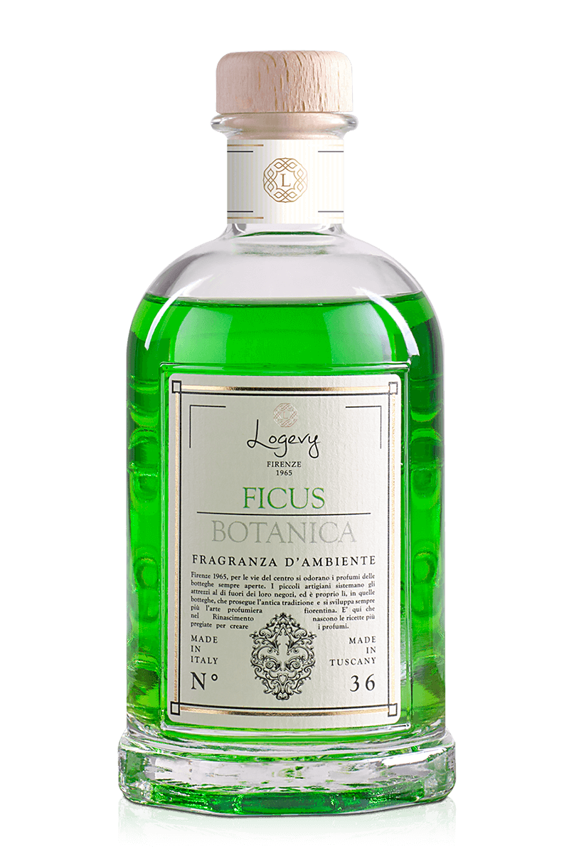 Ficus Botanica